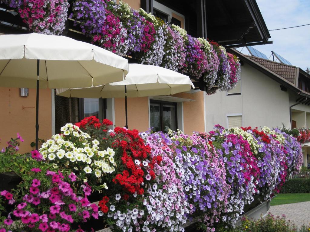 Gaestehaus Stroitz 드로볼라흐암파케르시 외부 사진